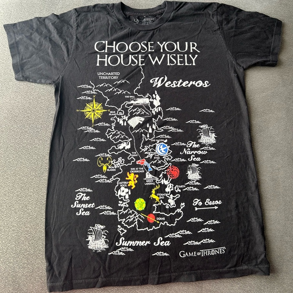 Game of Thrones - Choose Your House Wisely Tshirt